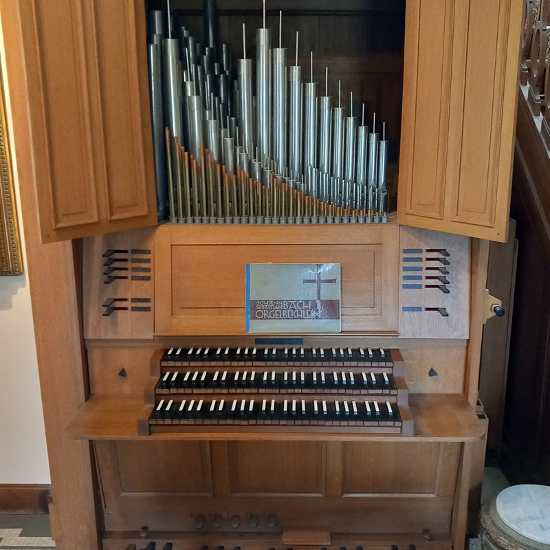 House organ III-P.jpg